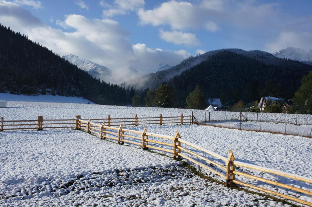 Pod Nosalem Iii Ubytování v soukromí Zakopane